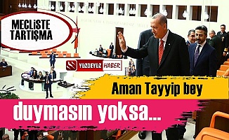 Mecliste Tartışma, 'Aman Tayyip Bey Duymasın...'