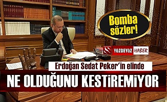 'Erdoğan, Sedat Peker'in Elinde Ne Olduğunu Kestiremiyor'