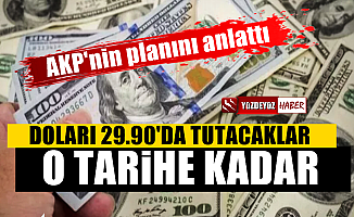 'AKP o tarihe kadar doları 29.90'da tutacak'