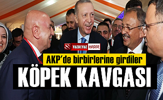 AKP'de köpek kavgası