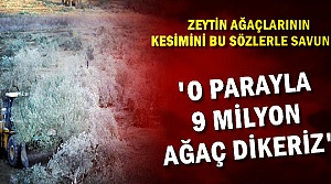 'NE VAR 9 MİLYON AĞAÇ DİKERİZ'