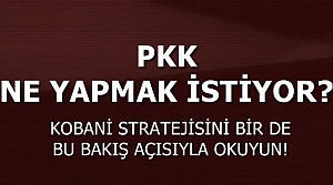 PKK NE YAPMAK İSTİYOR?